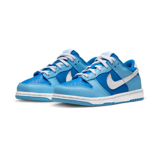 Nike Dunk Low Retro QS (PS)